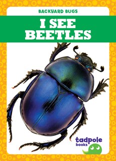 Couverture_I See Beetles