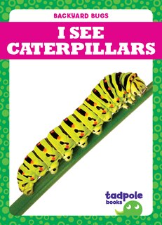 Couverture_I See Caterpillars