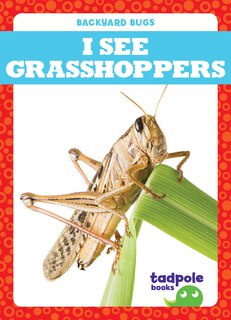 Couverture_I See Grasshoppers