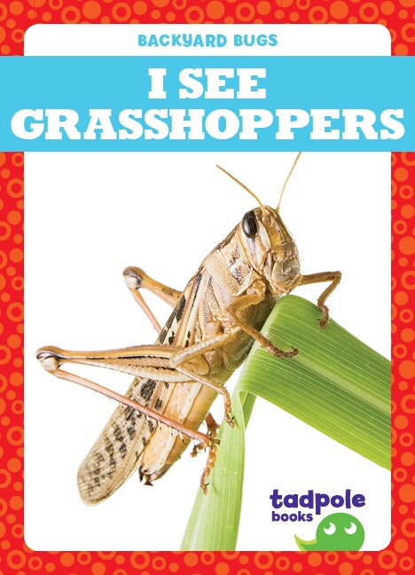 Couverture_I See Grasshoppers