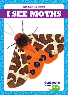 Front cover_I See Moths