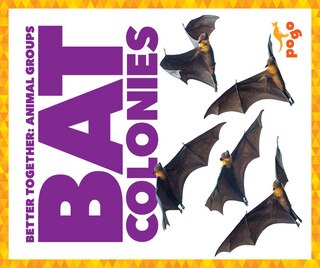 Front cover_Bat Colonies