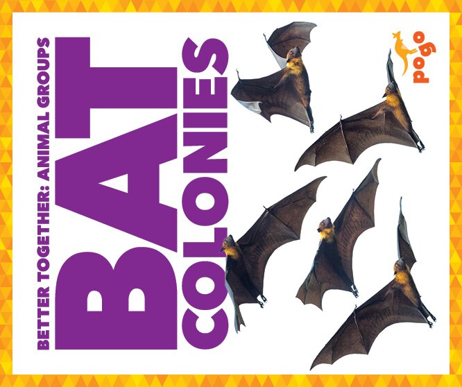 Front cover_Bat Colonies