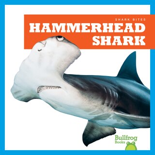 Front cover_Hammerhead Shark