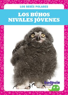 Front cover_Los Búhos Nivales Jóvenes (Snowy Owlets)