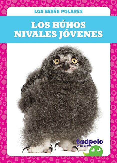 Front cover_Los Búhos Nivales Jóvenes (Snowy Owlets)
