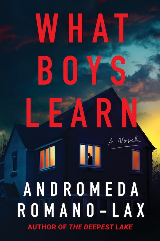 Front cover_What Boys Learn