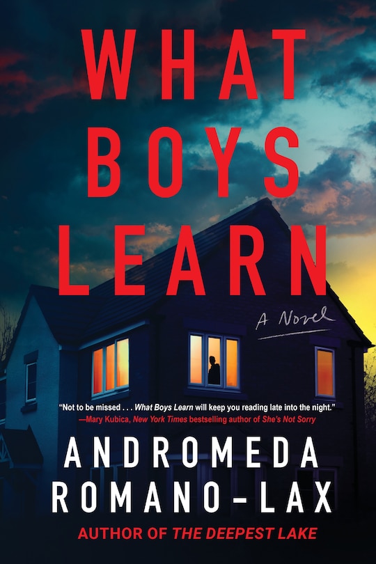 Front cover_What Boys Learn