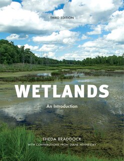 Wetlands: An Introduction