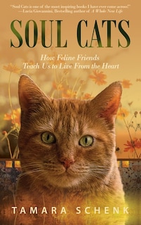 Couverture_Soul Cats