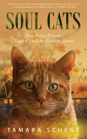 Couverture_Soul Cats