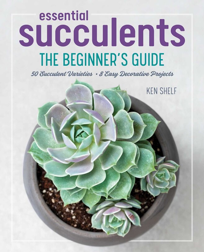 Front cover_Essential Succulents