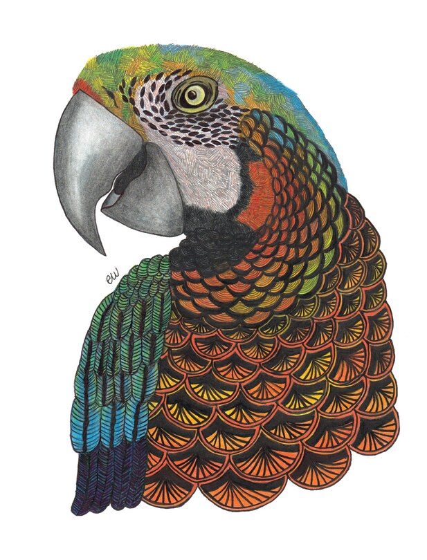 Front cover_Tangleeasy Lined Journal Parrot