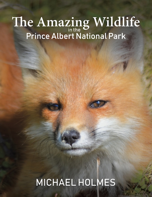 Front cover_The Amazing Wildlife in the Prince Albert National Park