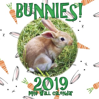 Couverture_Bunnies! 2019 Mini Wall Calendar