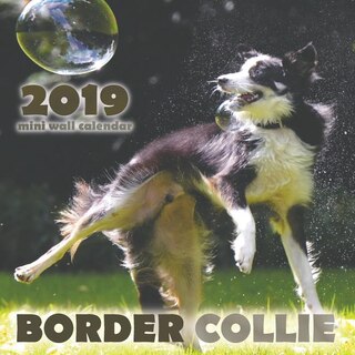 Couverture_Border Collie 2019 Mini Wall Calendar