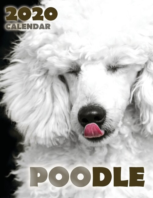 Couverture_Poodle 2020 Calendar