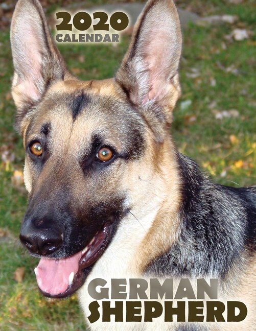 Front cover_German Shepherd 2020 Calendar
