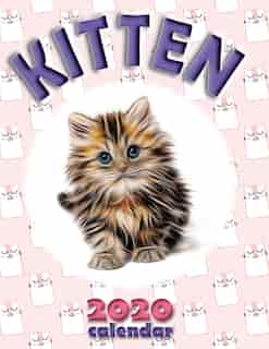 Kitten 2020 Calendar by Wall Publishing