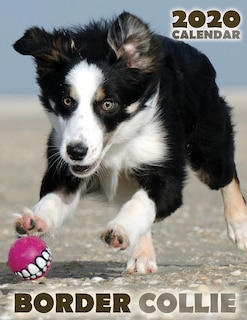 Couverture_Border Collie 2020 Calendar