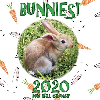 Couverture_Bunnies! 2020 Mini Wall Calendar