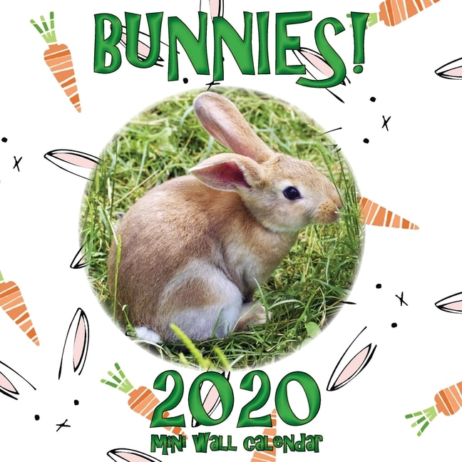 Couverture_Bunnies! 2020 Mini Wall Calendar