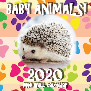 Couverture_Baby Animals! 2020 Mini Wall Calendar