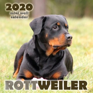 Couverture_Rottweiler 2020 Mini Wall Calendar