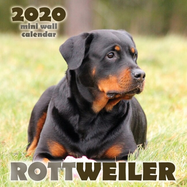 Couverture_Rottweiler 2020 Mini Wall Calendar