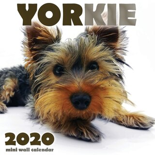 Couverture_Yorkie 2020 Mini Wall Calendar