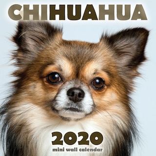 Front cover_Chihuahua 2020 Mini Wall Calendar