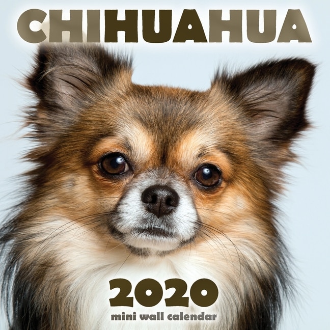 Front cover_Chihuahua 2020 Mini Wall Calendar