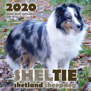 Sheltie: Shetland Sheepdog 2020 Mini Wall Calendar