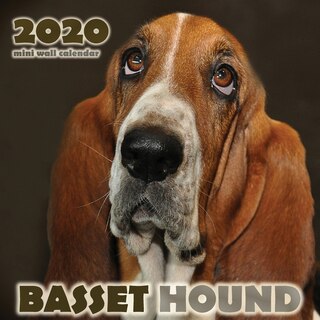 Front cover_Basset Hound 2020 Mini Wall Calendar