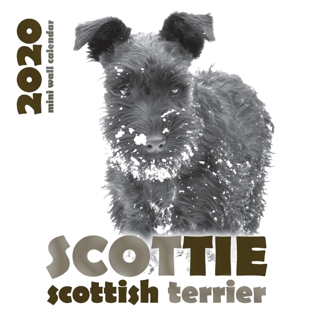 Couverture_Scottie