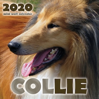 Front cover_Collie 2020 Mini Wall Calendar