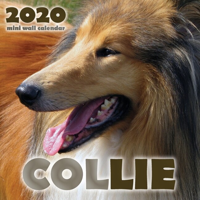 Front cover_Collie 2020 Mini Wall Calendar
