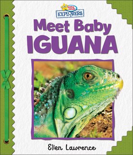 Front cover_Active Minds Explorers: Meet Baby Iguana