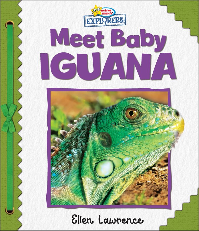Front cover_Active Minds Explorers: Meet Baby Iguana