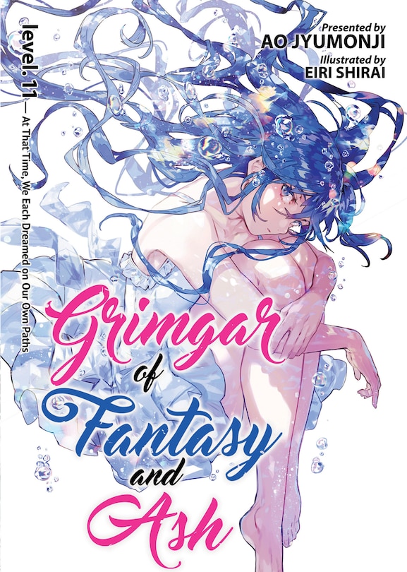 Front cover_Grimgar Of Fantasy And Ash (light Novel) Vol. 11