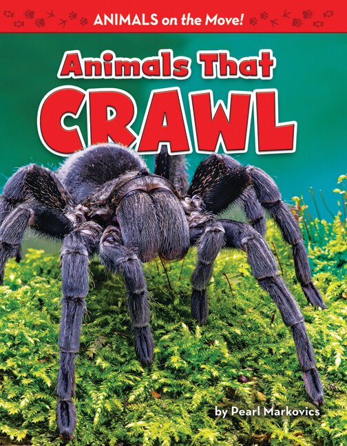 Animals That Crawl