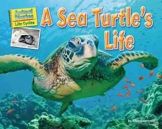 A Sea Turtle's Life