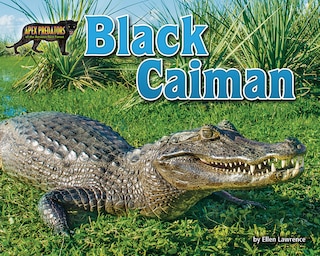 Black Caiman