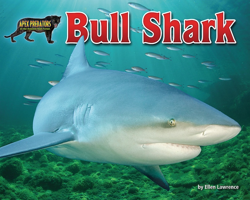 Front cover_Bull Shark