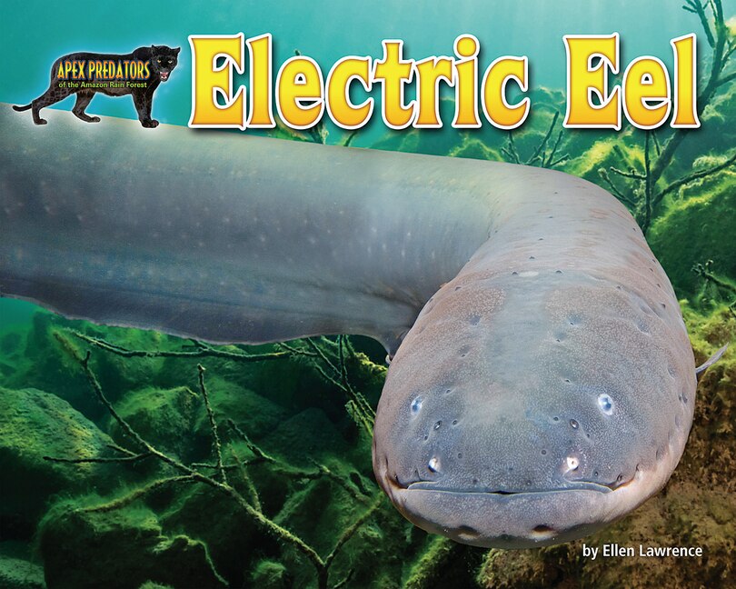 Front cover_Electric Eel