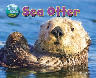 Sea Otter