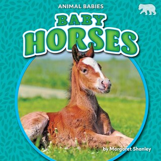 Front cover_Baby Horses