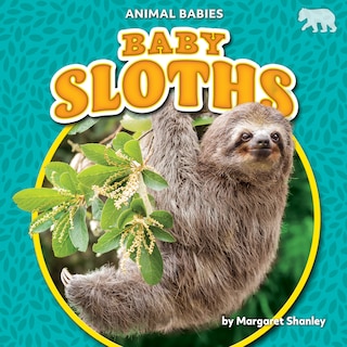 Front cover_Baby Sloths