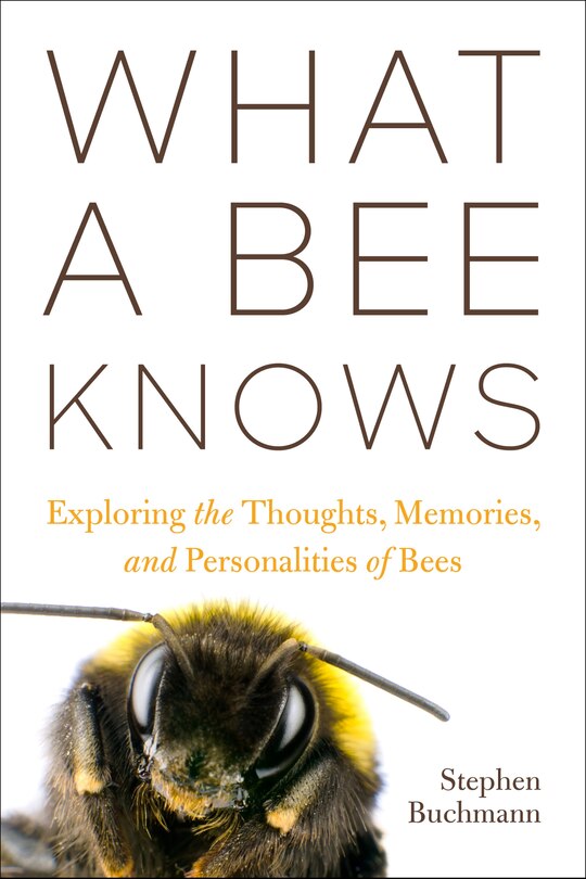 Front cover_What a Bee Knows