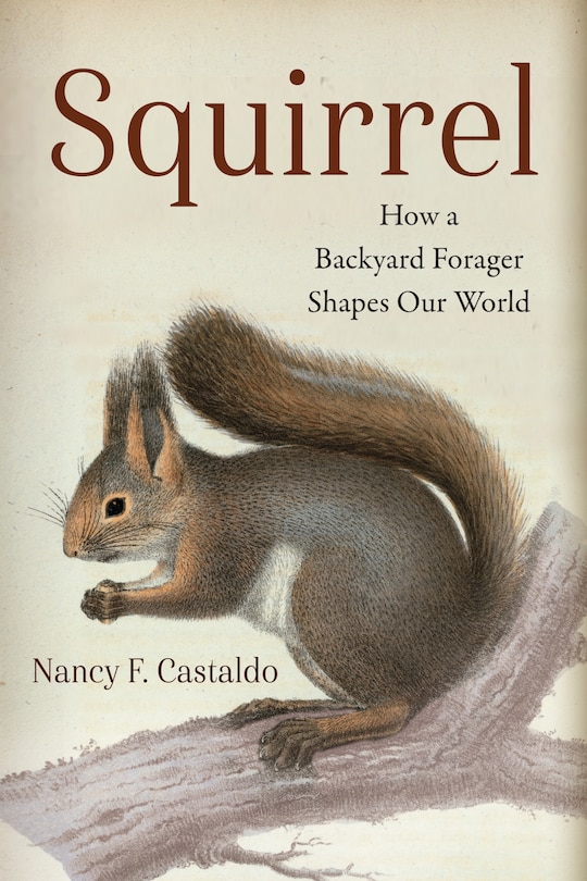 Front cover_Squirrel